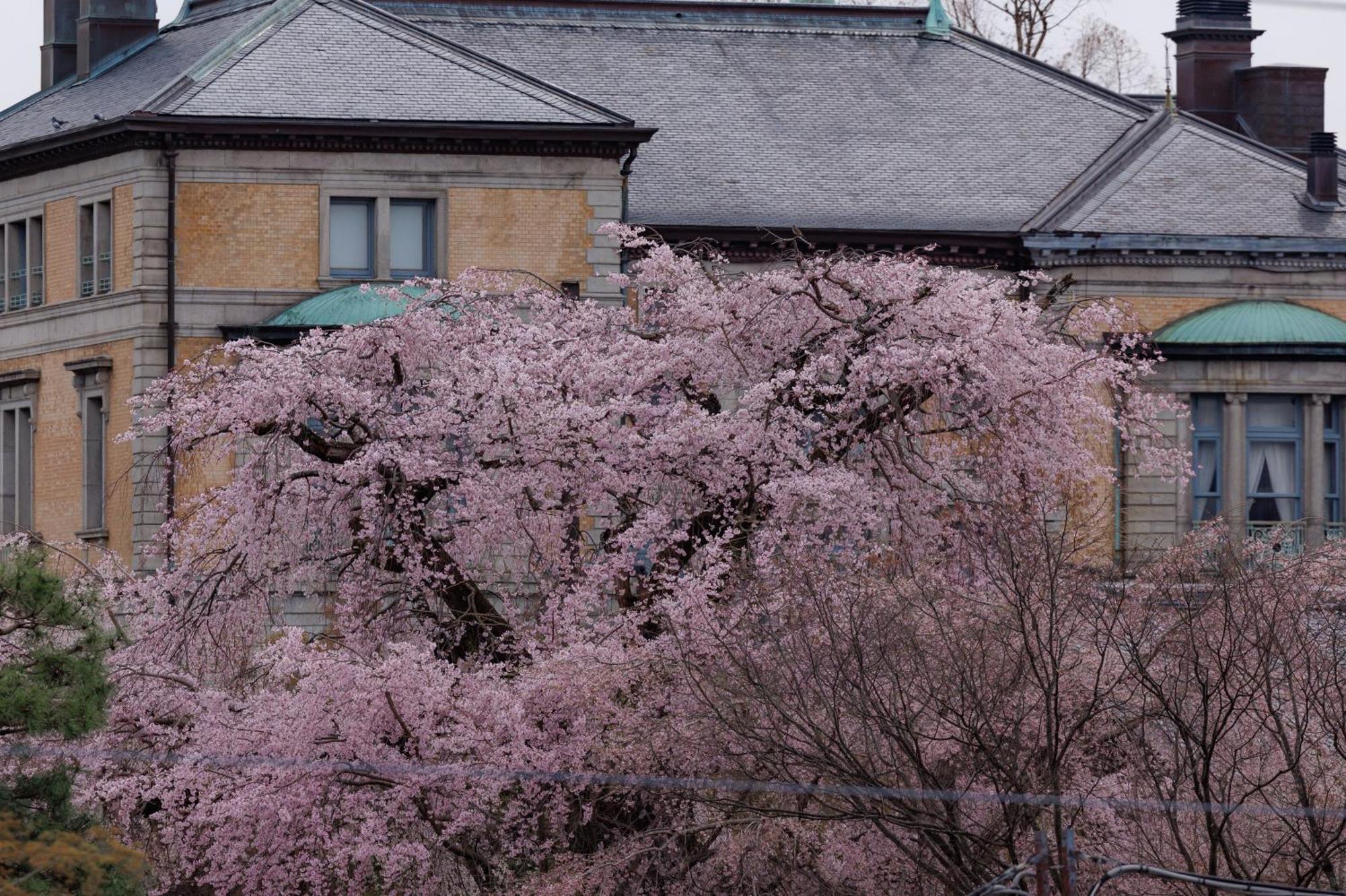 Hotel Chourakukan Kyoto Gion 長楽館 المظهر الخارجي الصورة